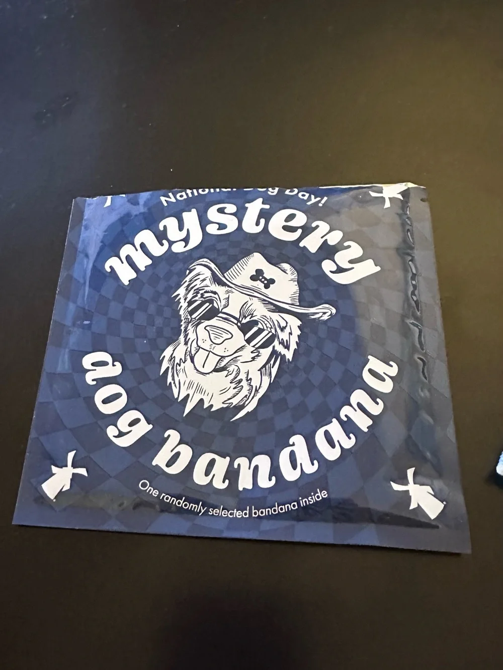 Dutch Bros Mystery Dog Bandana Blue Patchwork